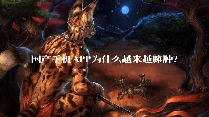国产手机APP为什么越来越臃肿？