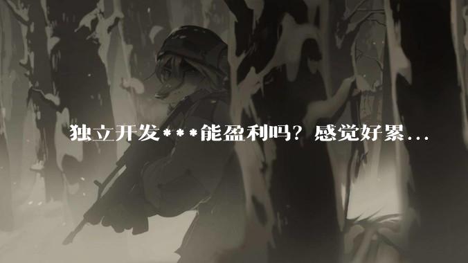 独立开发***能盈利吗？感觉好累...