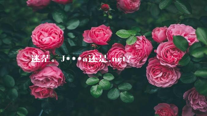 迷茫。J***a还是.net？