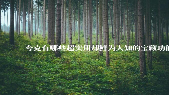 夸克有哪些超实用却鲜为人知的宝藏功能？