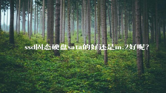 ssd固态硬盘sata的好还是m.2好呢？