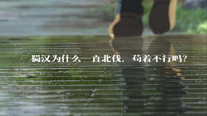 蜀汉为什么一直北伐，苟着不行吗？