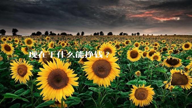 现在干什么能挣钱?
