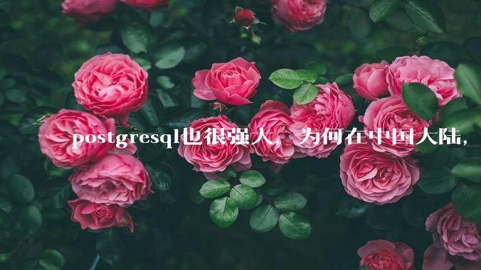 postgresql也很强大，为何在中国大陆，mysql成为主流，postgresql屈居二线呢？