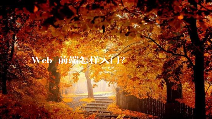 Web 前端怎样入门？