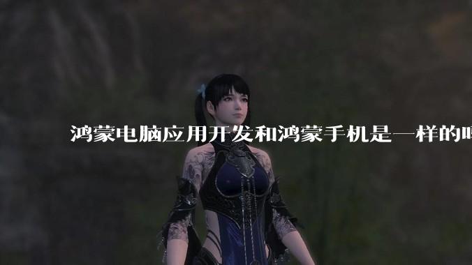 鸿蒙电脑应用开发和鸿蒙手机是一样的吗？