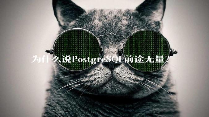 为什么说PostgreSQL前途无量？