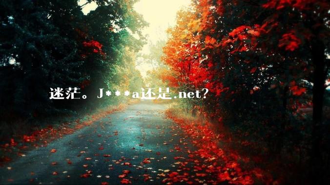 迷茫。J***a还是.net？