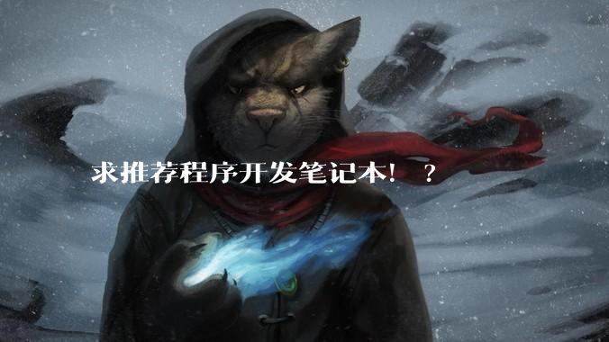 求推荐程序开发笔记本！?