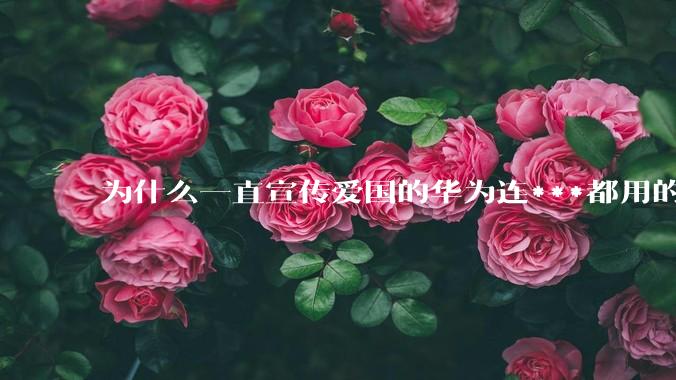 为什么一直宣传爱国的华为连***都用的是外国***？