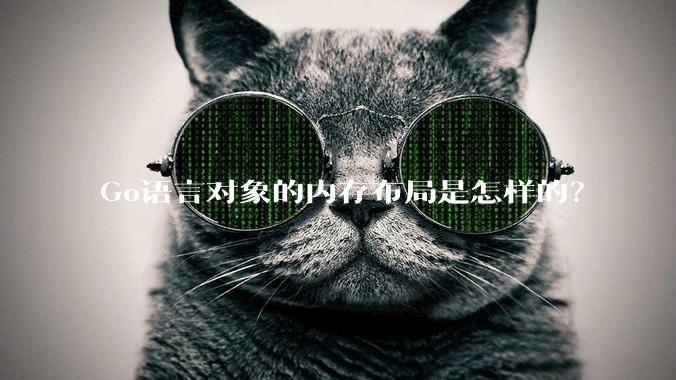 Go语言对象的内存布局是怎样的？