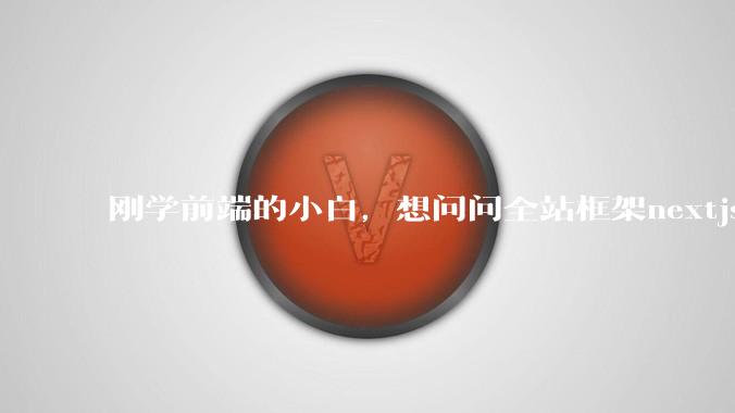 刚学前端的小白，想问问全站框架nextjs+shadcn+prisma为什么在国内不火呢？