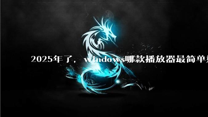 2025年了，windows哪款播放器最简单好用？
