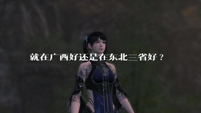 就在广西好还是在东北三省好?
