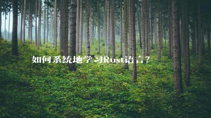 如何系统地学习Rust语言？