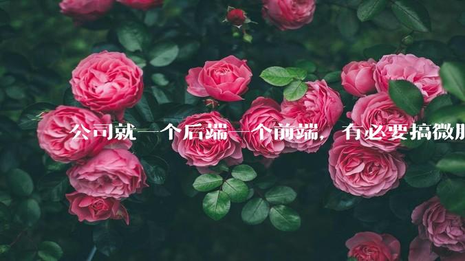 公司就一个后端一个前端，有必要搞微服务吗？