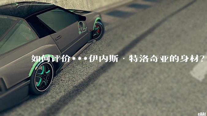 如何评价***伊内斯·特洛奇亚的身材？