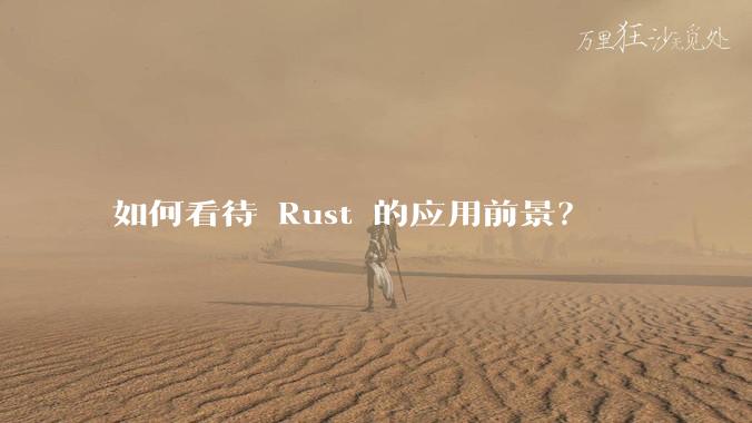 如何看待 Rust 的应用前景？