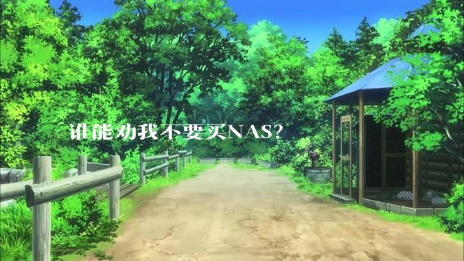 谁能劝我不要买NAS？