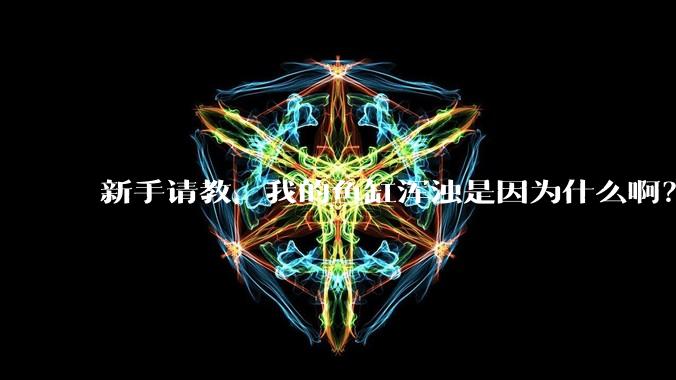 新手请教，我的鱼缸浑浊是因为什么啊？