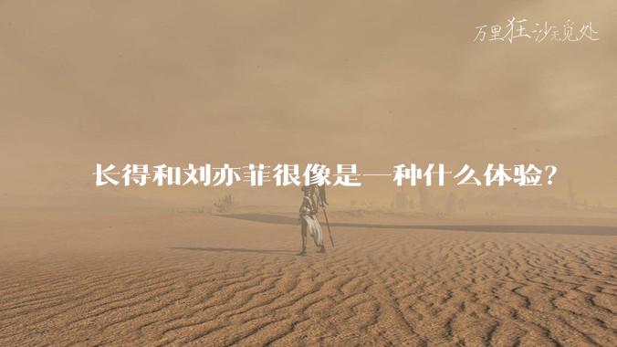 长得和刘亦菲很像是一种什么体验？
