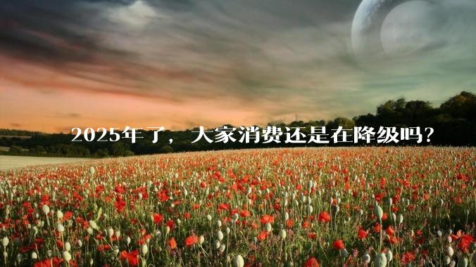 2025年了，大家消费还是在降级吗？