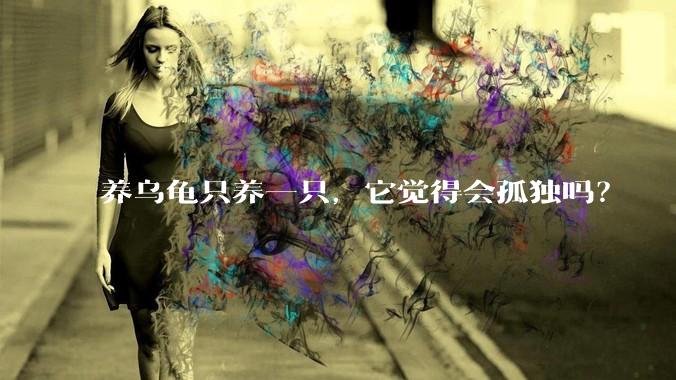养乌龟只养一只，它觉得会孤独吗？