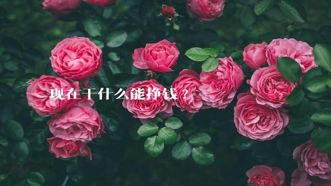 现在干什么能挣钱?