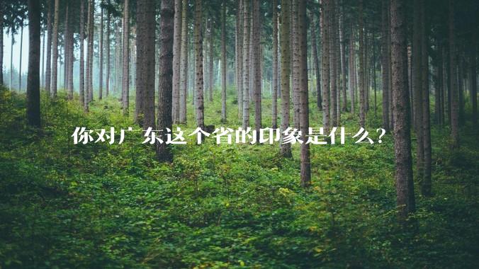 你对广东这个省的印象是什么？