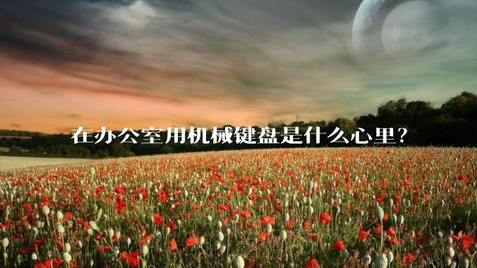 在办公室用机械键盘是什么心里？