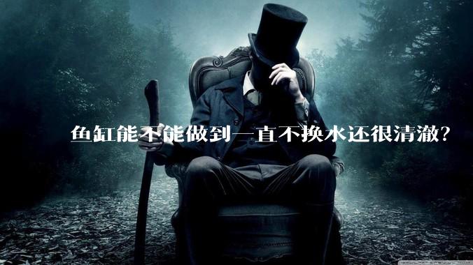 鱼缸能不能做到一直不换水还很清澈？