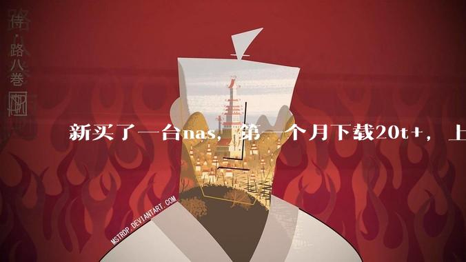 新买了一台nas，第一个月下载20t+，上传5+，不会被网警盯上吧?