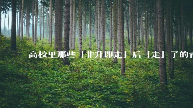 高校里那些「非升即走」后「走」了的青年教师都怎么样了？