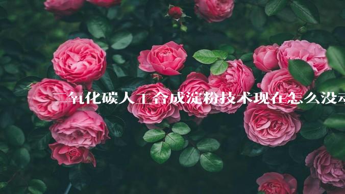 二氧化碳人工合成淀粉技术现在怎么没动静了？