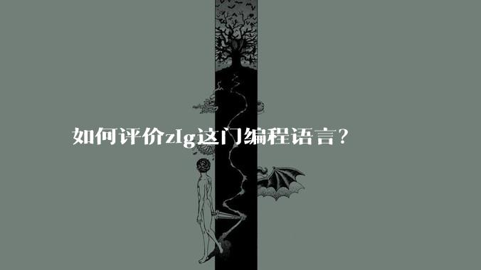 如何评价zig这门编程语言？
