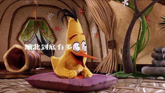 缅北到底有多乱？