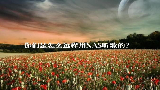 你们是怎么远程用NAS听歌的？