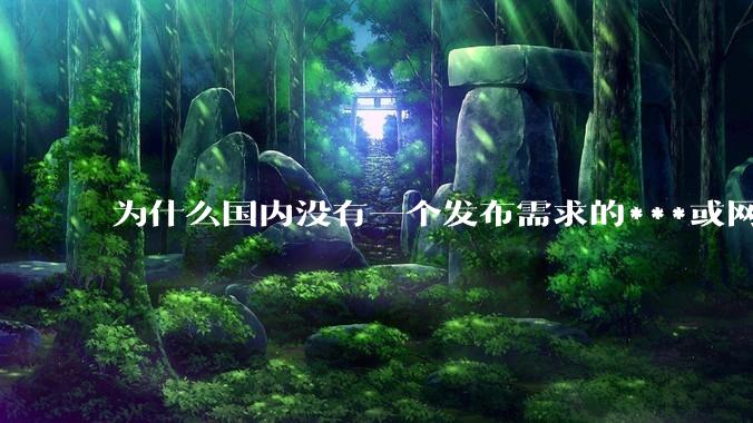 为什么国内没有一个发布需求的***或网站呢？