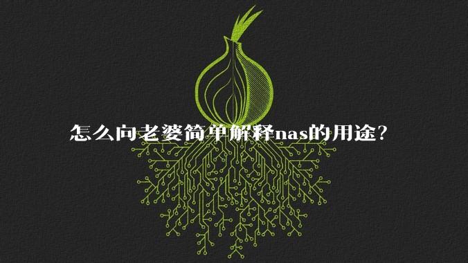 怎么向老婆简单解释nas的用途？