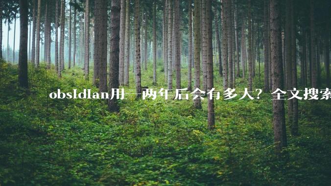 obsidian用一两年后会有多大？全文搜索还快吗？