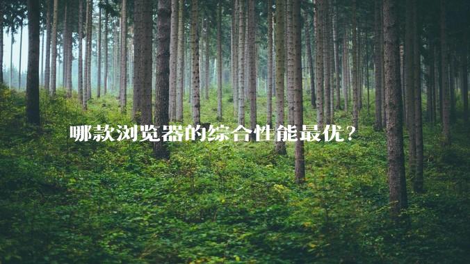 哪款浏览器的综合性能最优？