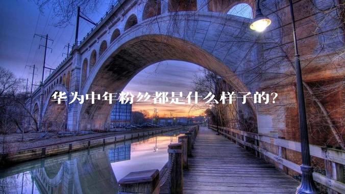 华为中年粉丝都是什么样子的？