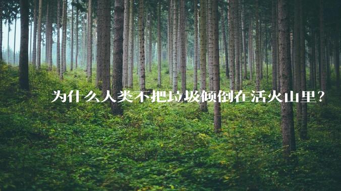 为什么人类不把垃圾倾倒在活火山里？