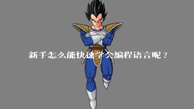 新手怎么能快速学会编程语言呢?