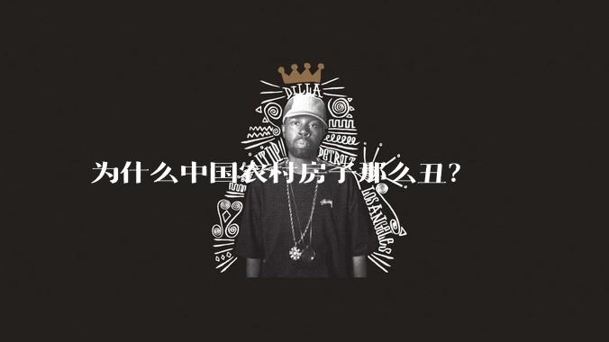为什么中国农村房子那么丑？