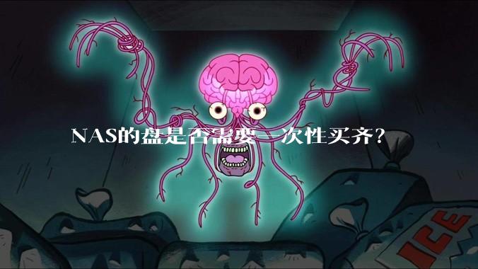 NAS的盘是否需要一次性买齐？