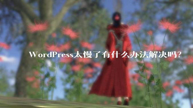WordPress太慢了有什么办法解决吗？
