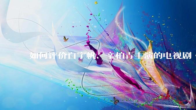 如何评价白宇帆、辛柏青主演的电视剧《护宝寻踪》？