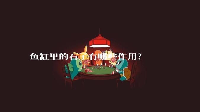 鱼缸里的石子有哪些作用？