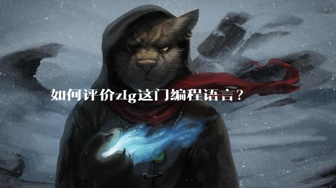 如何评价zig这门编程语言？